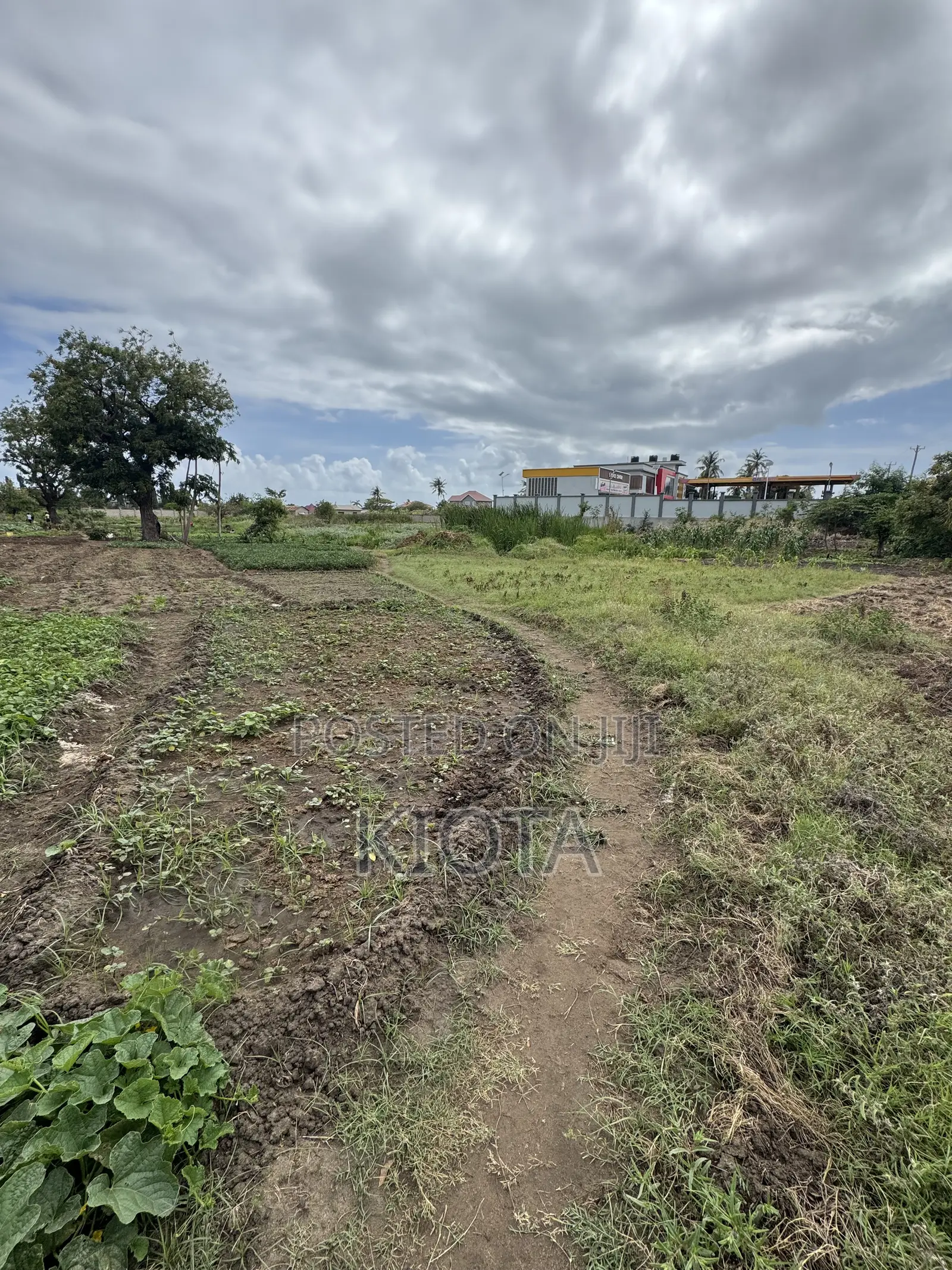 Ununio Investment Road Plot