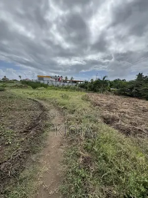 Ununio Investment Road Plot