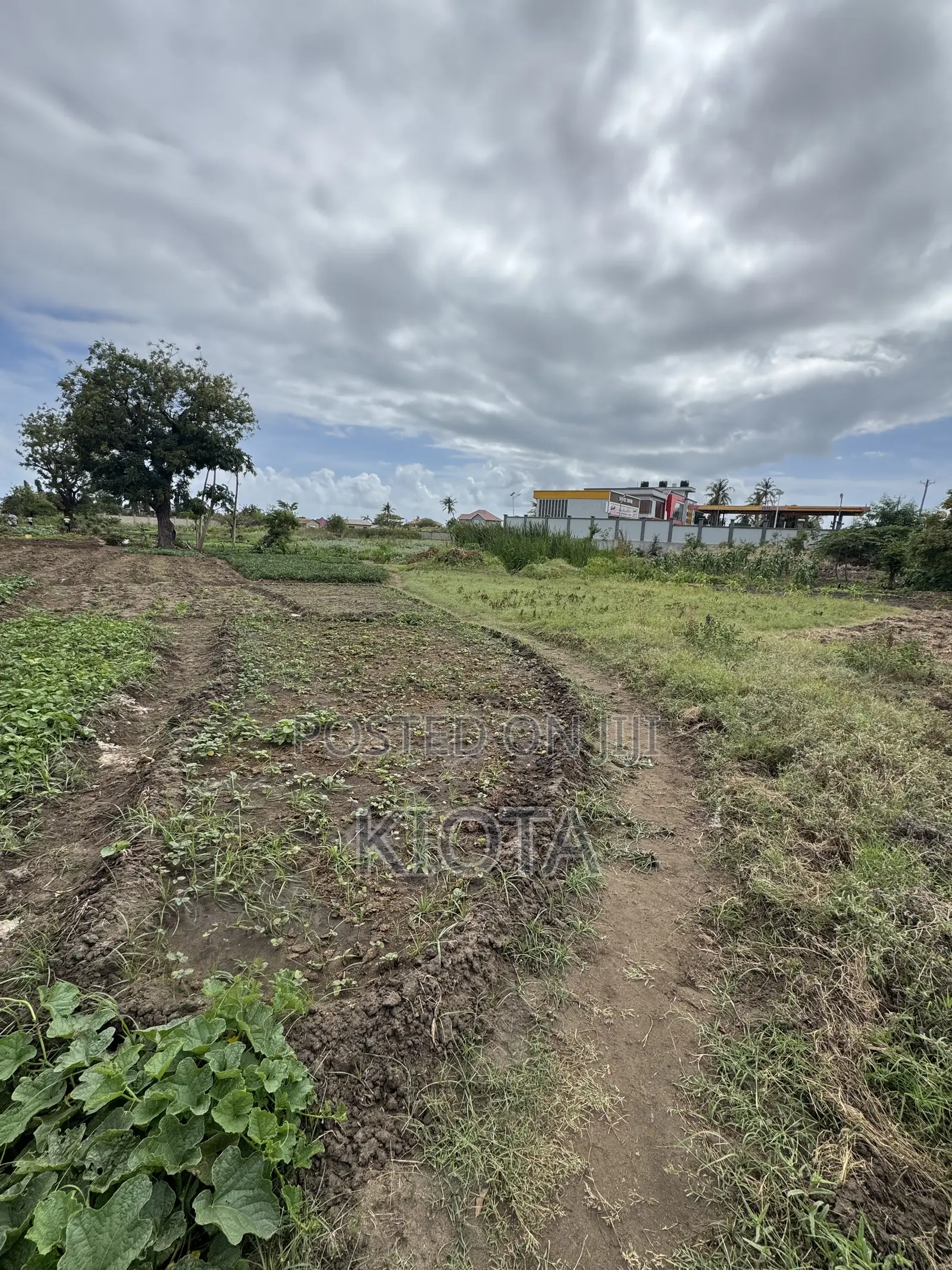 Ununio Investment Road Plot