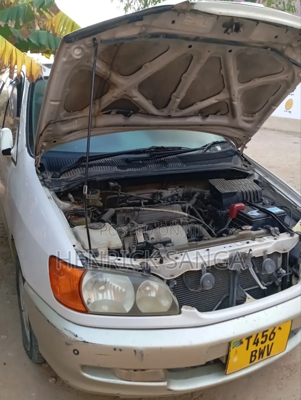 Toyota Ipsum 1998 Gray