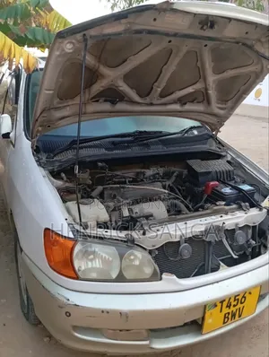 Toyota Ipsum 1998 Gray