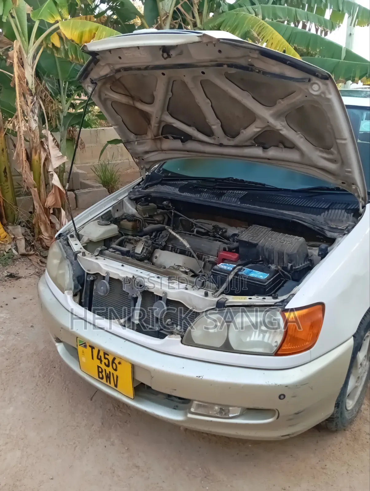 Toyota Ipsum 1998 Gray