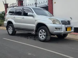 Toyota Land Cruiser Prado 2004 Silver