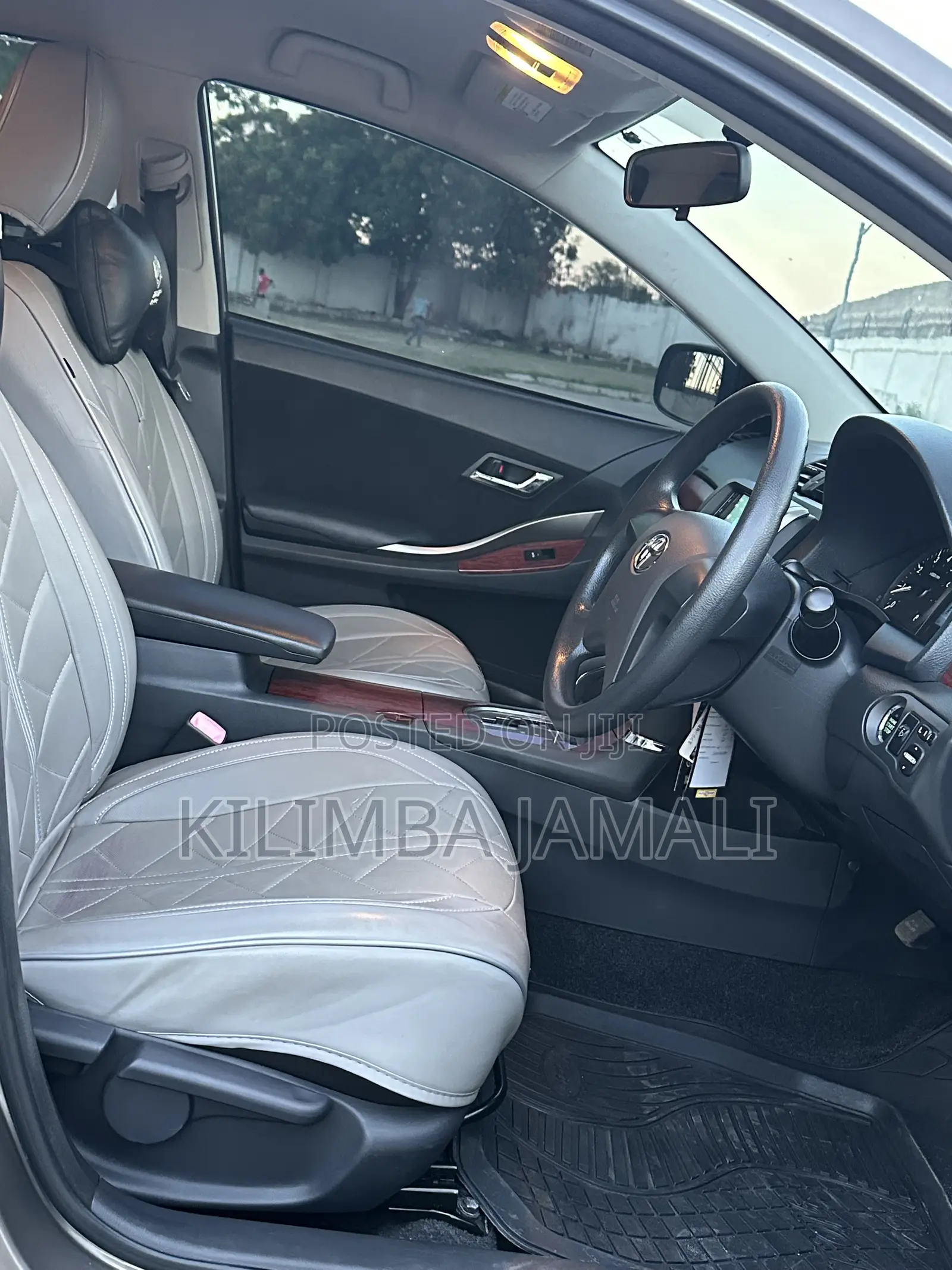 Toyota Premio 2010 Gray