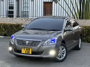 Toyota Premio 2010 Gray
