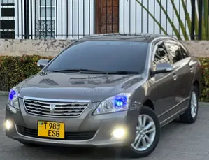 Toyota Premio 2010 Gray