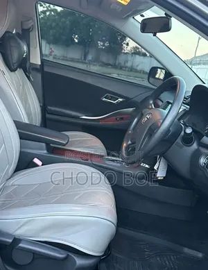 Toyota Premio 2010 Gray