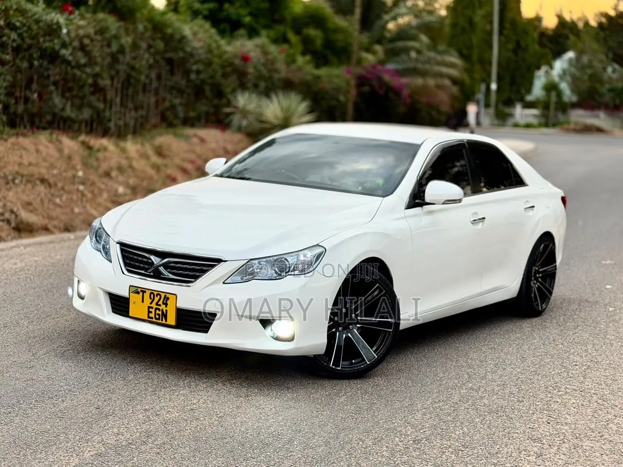 Toyota Mark X 2011 Pearl