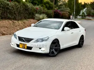 Toyota Mark X 2011 Pearl