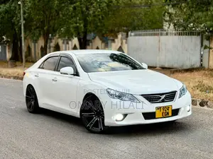 Toyota Mark X 2011 Pearl
