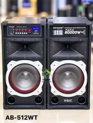 Aborder Speaker AC/Dc 80000w With Microphone