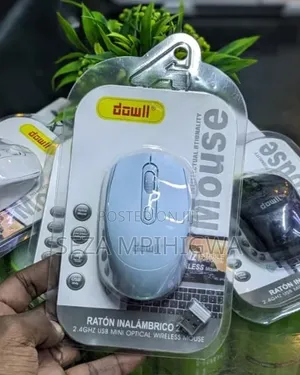 *Wireless Mouse Dowll*
