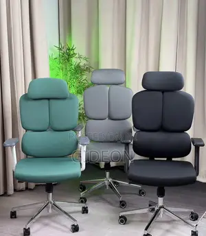 Ergonomics Executive Chair