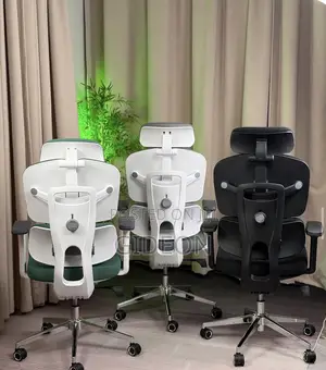 Ergonomics Executive Chair