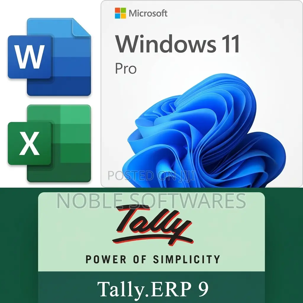 Accounting Package Softwares (Installation)