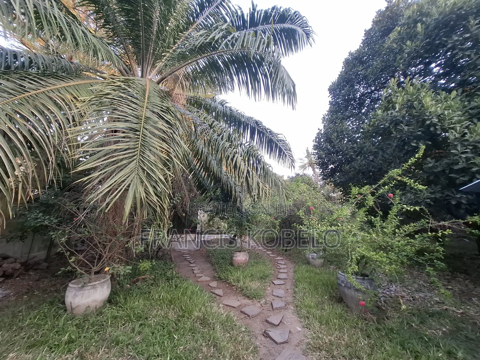 4bdrm House in Mikocheni for sale