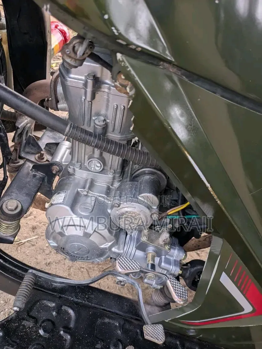 Bajaj 2025 Pink