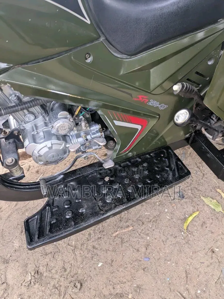 Bajaj 2025 Pink