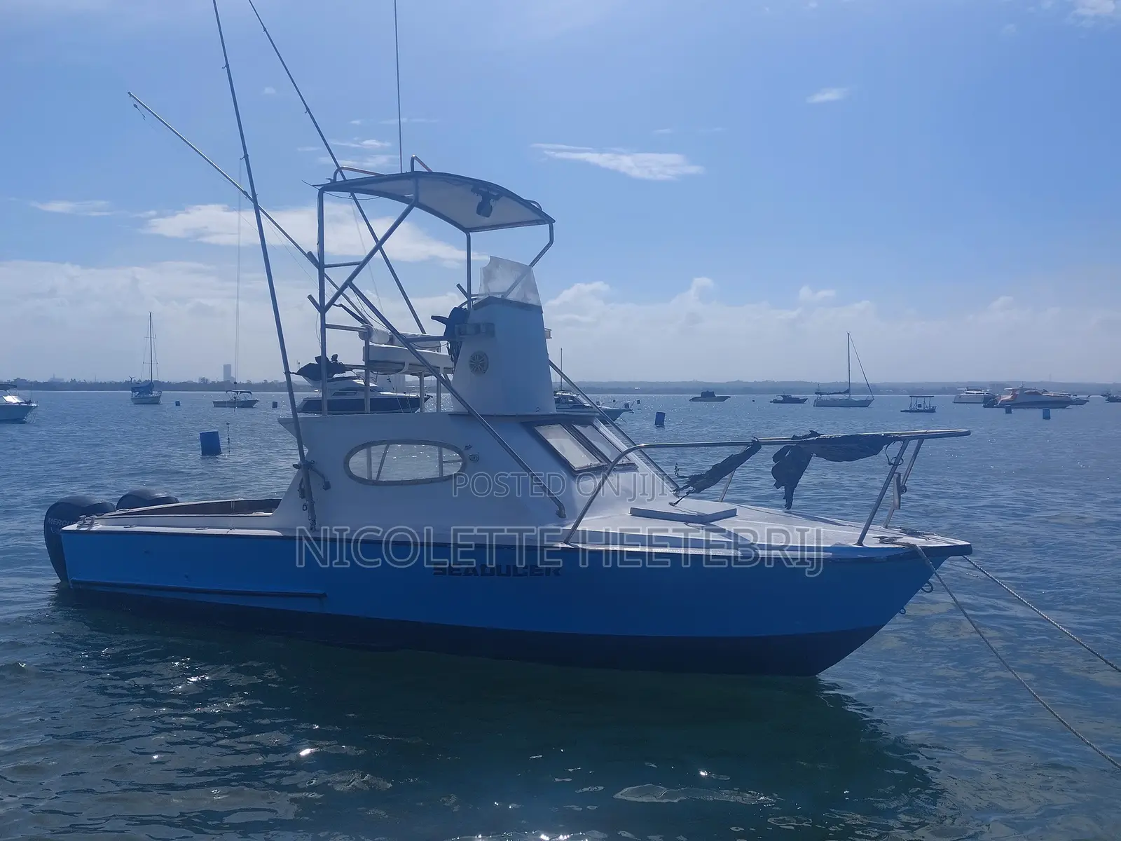 31ft Offshore Sportfishing Boat