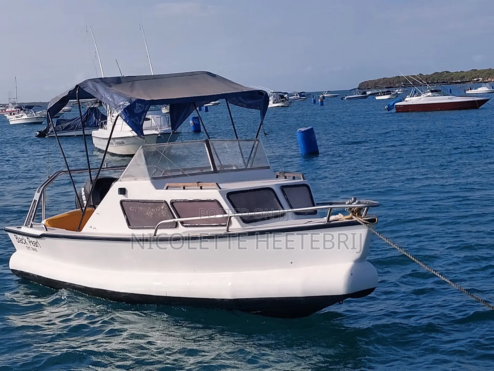 Great Leisure / Motor Boat for Sale