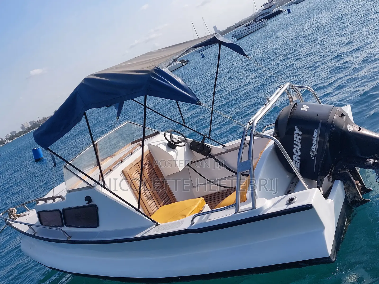 Great Leisure / Motor Boat for Sale