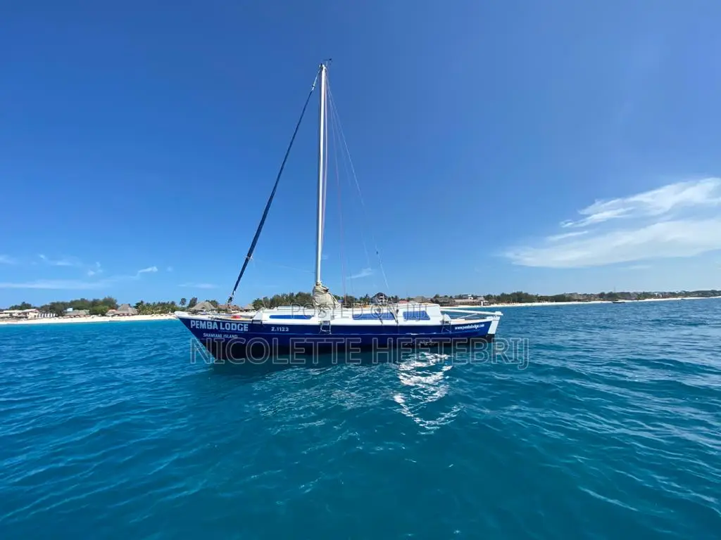 Classic 30ft Wharram Tiki Catamaran