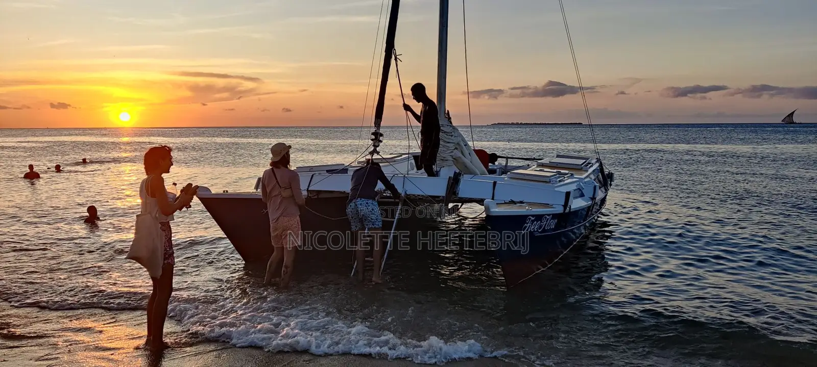 Classic 30ft Wharram Tiki Catamaran