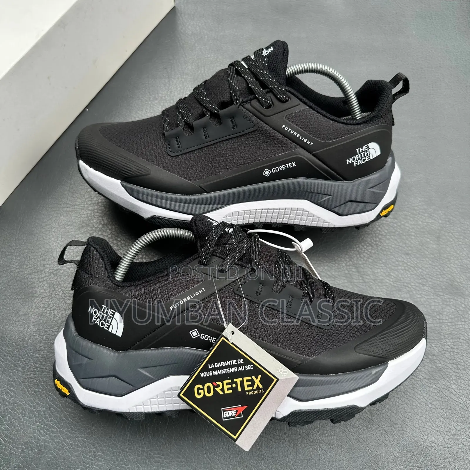 The North Face Gore-Tex Shoes