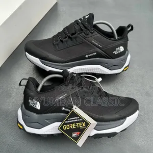 The North Face Gore-Tex Shoes