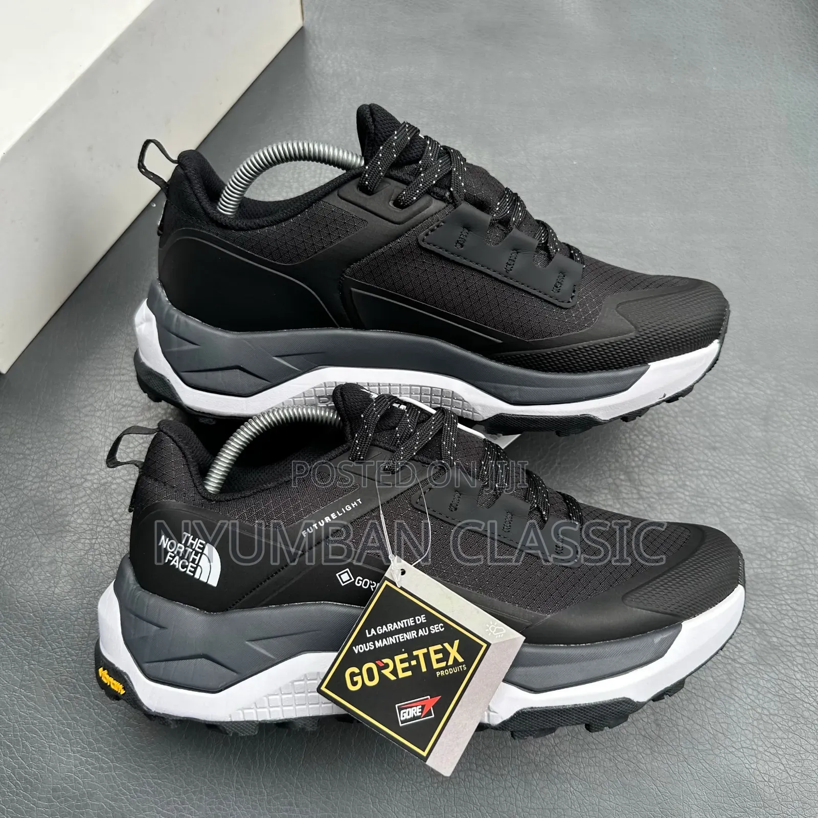 The North Face Gore-Tex Shoes
