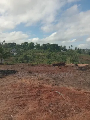Viwanja Vinauzwa Mwandege