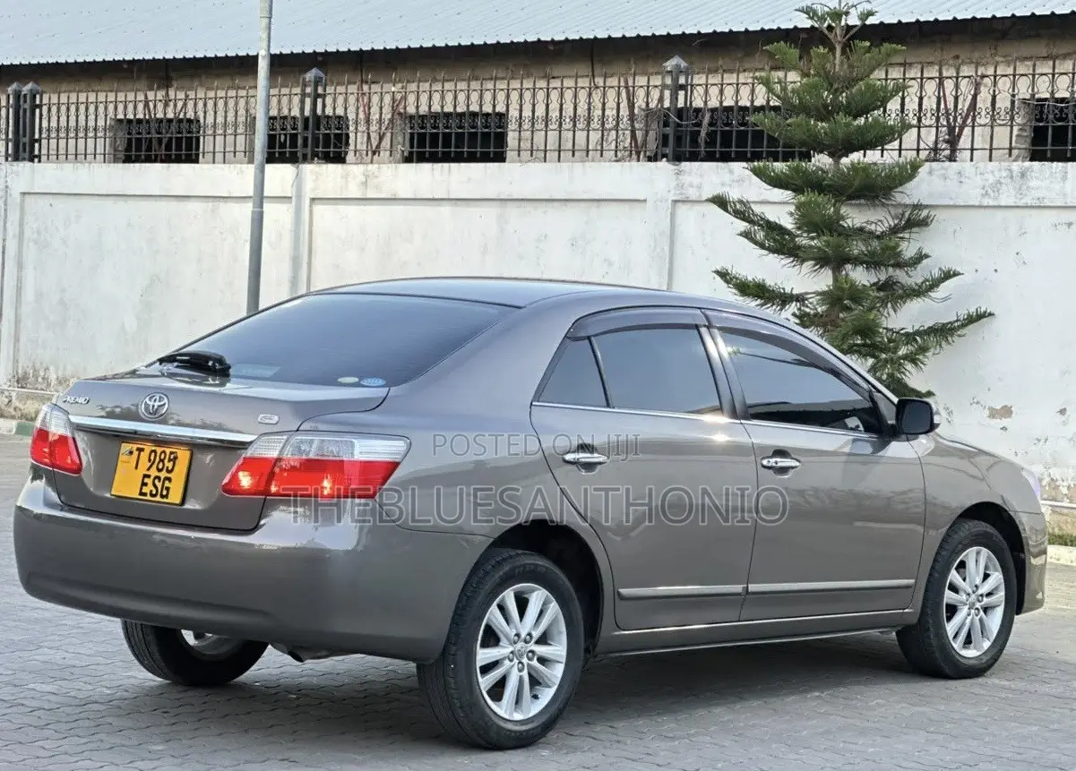 Toyota Premio 2010 Brown