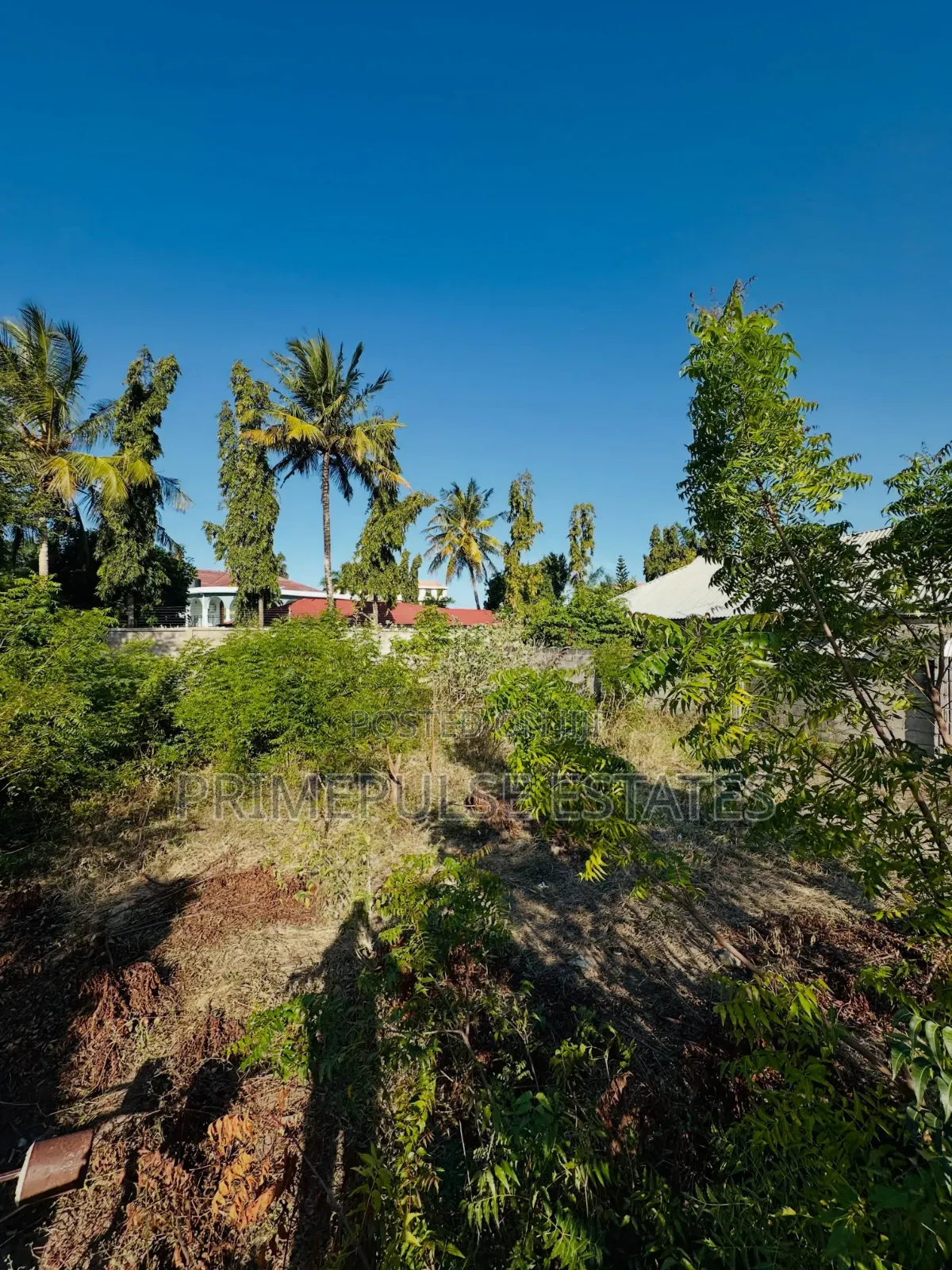 Plot zlFor Sale