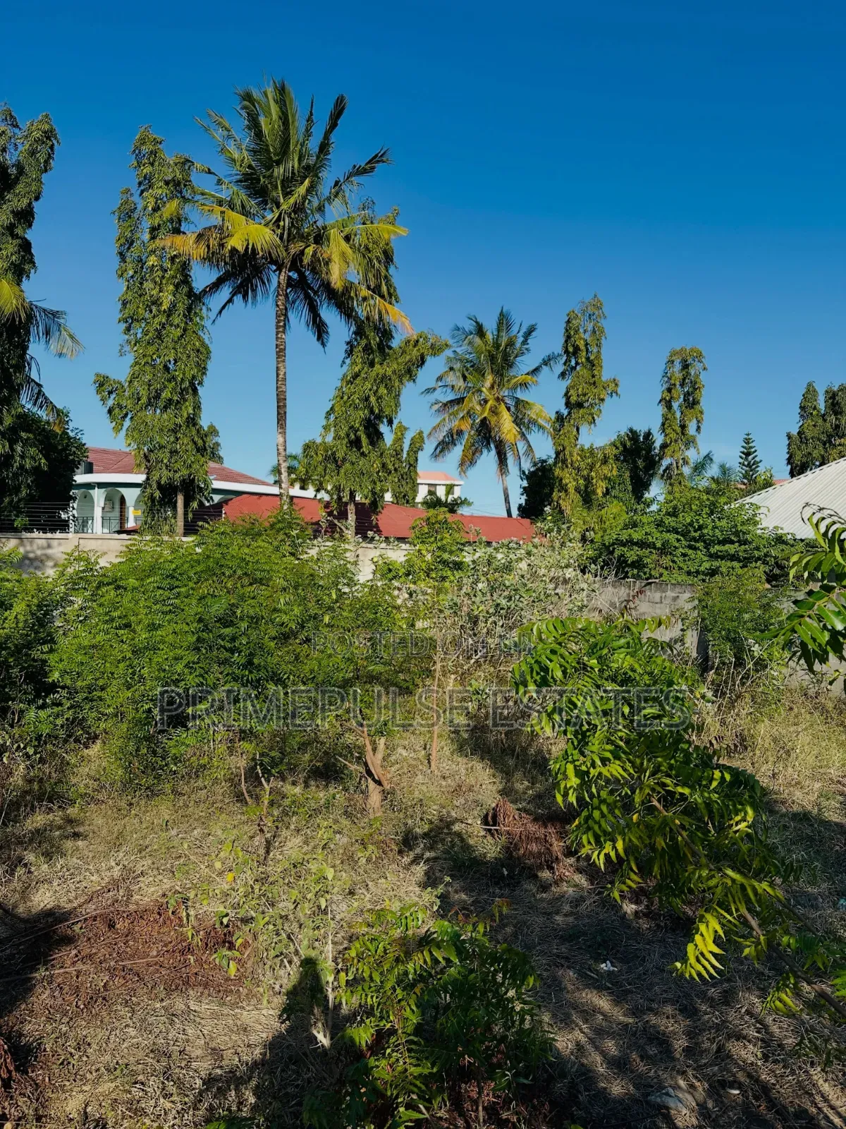 Plot zlFor Sale