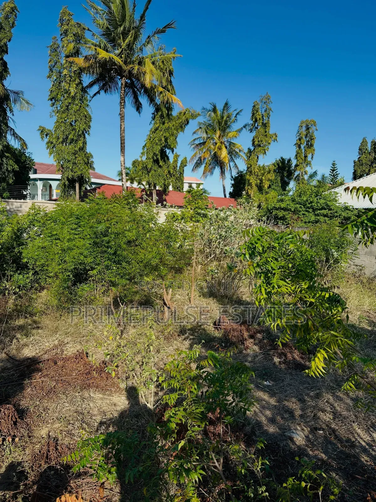 Plot zlFor Sale