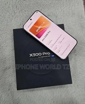 New Vivo X300 Pro 512 GB Silver