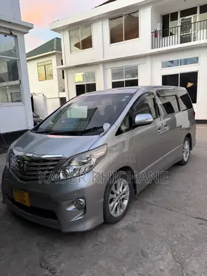 Toyota Alphard 2010 Gray