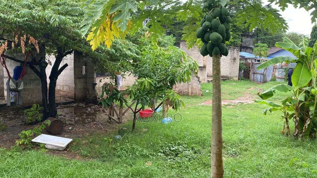  Plot for Sale – Mikocheni B | 800 SQM | TSH 750m | Offer Letter
