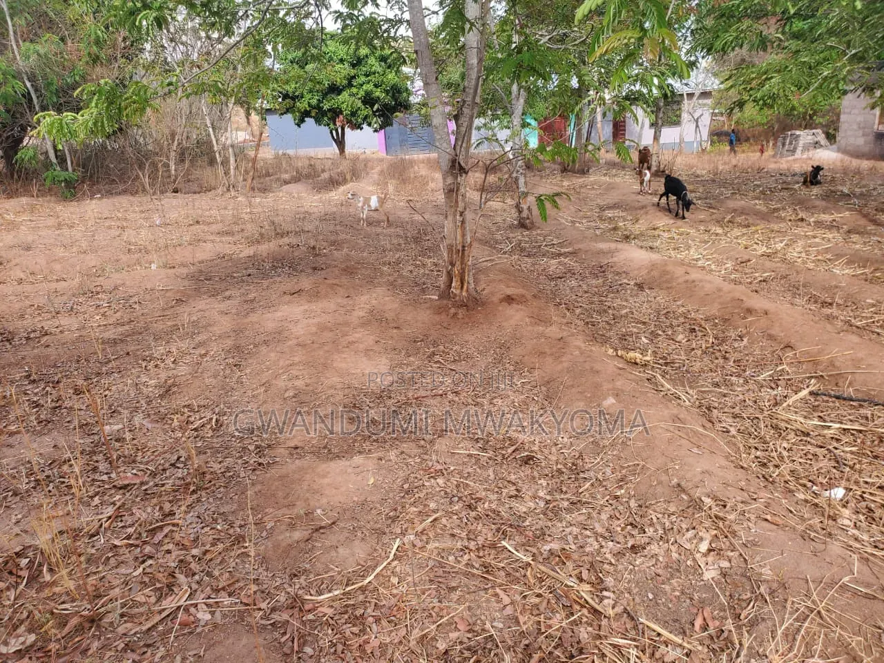 Land for Sale