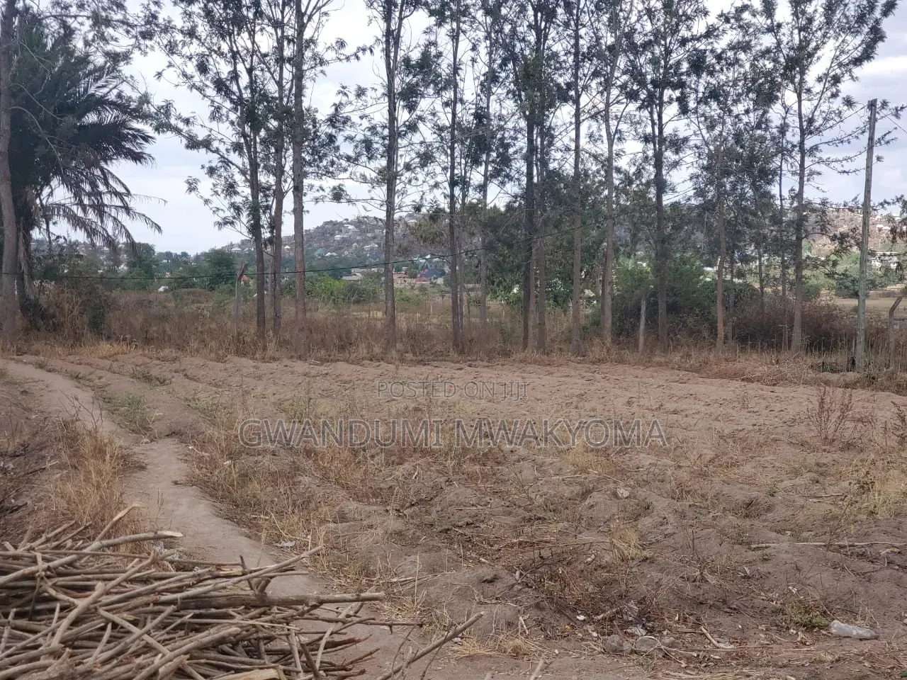 Land for Sale