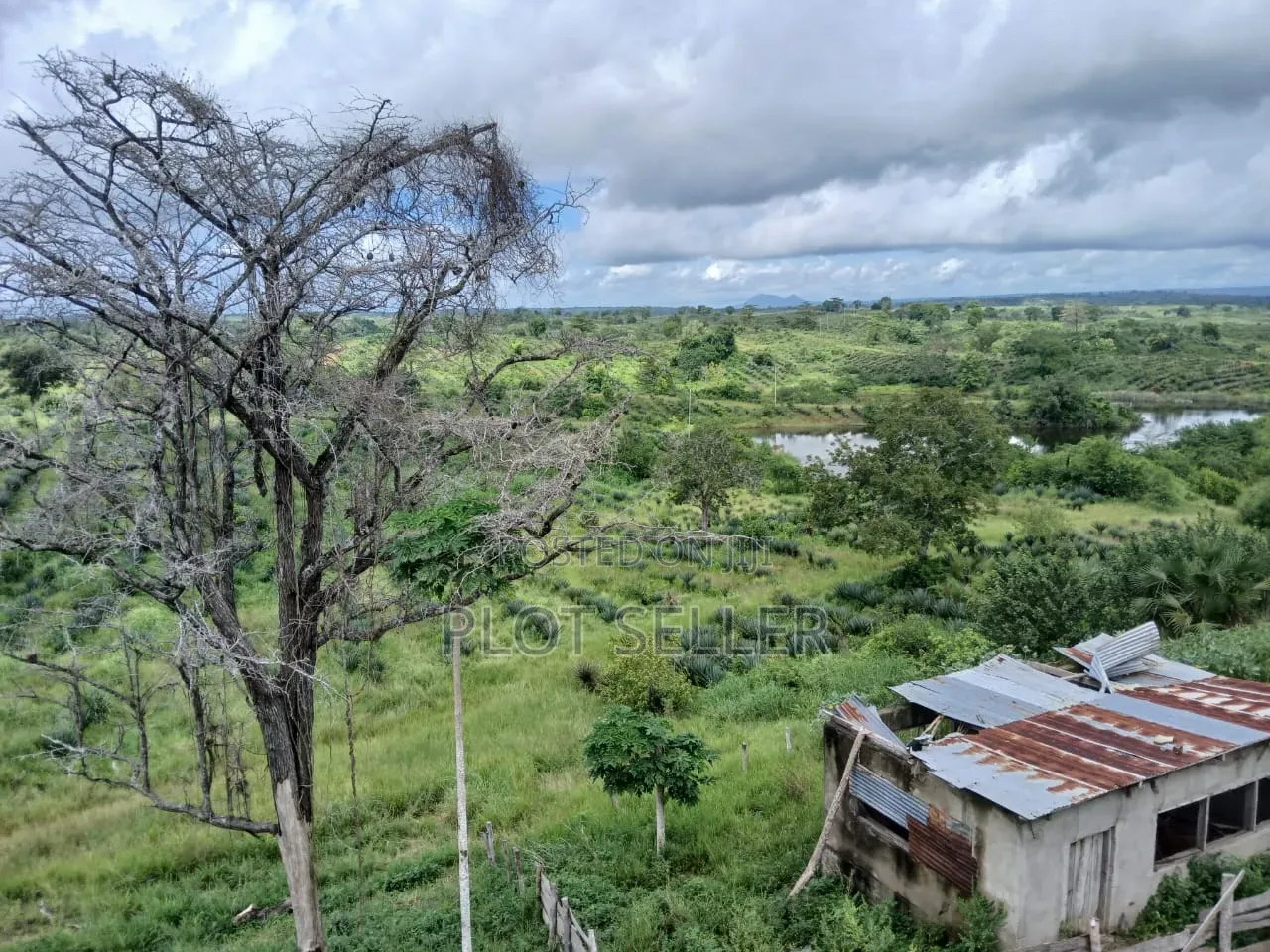 Farmland for Sale 5000 Acres in Pangani,Tanga