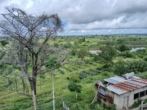 Farmland for Sale 5000 Acres in Pangani,Tanga