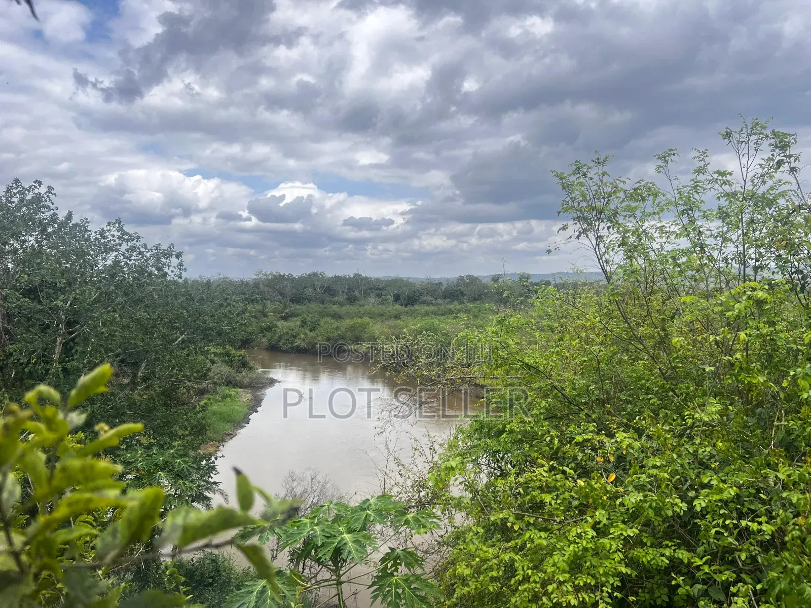 Farmland for Sale 5000 Acres in Pangani,Tanga