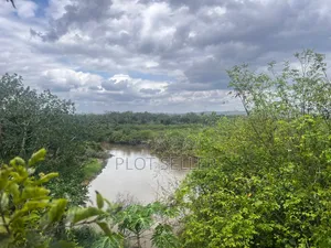 Farmland for Sale 5000 Acres in Pangani,Tanga