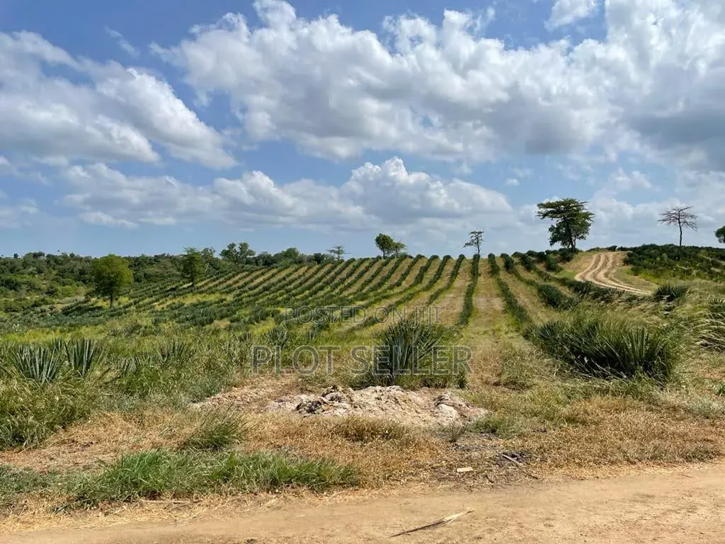 Farmland for Sale 5000 Acres in Pangani,Tanga