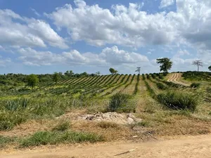 Farmland for Sale 5000 Acres in Pangani,Tanga