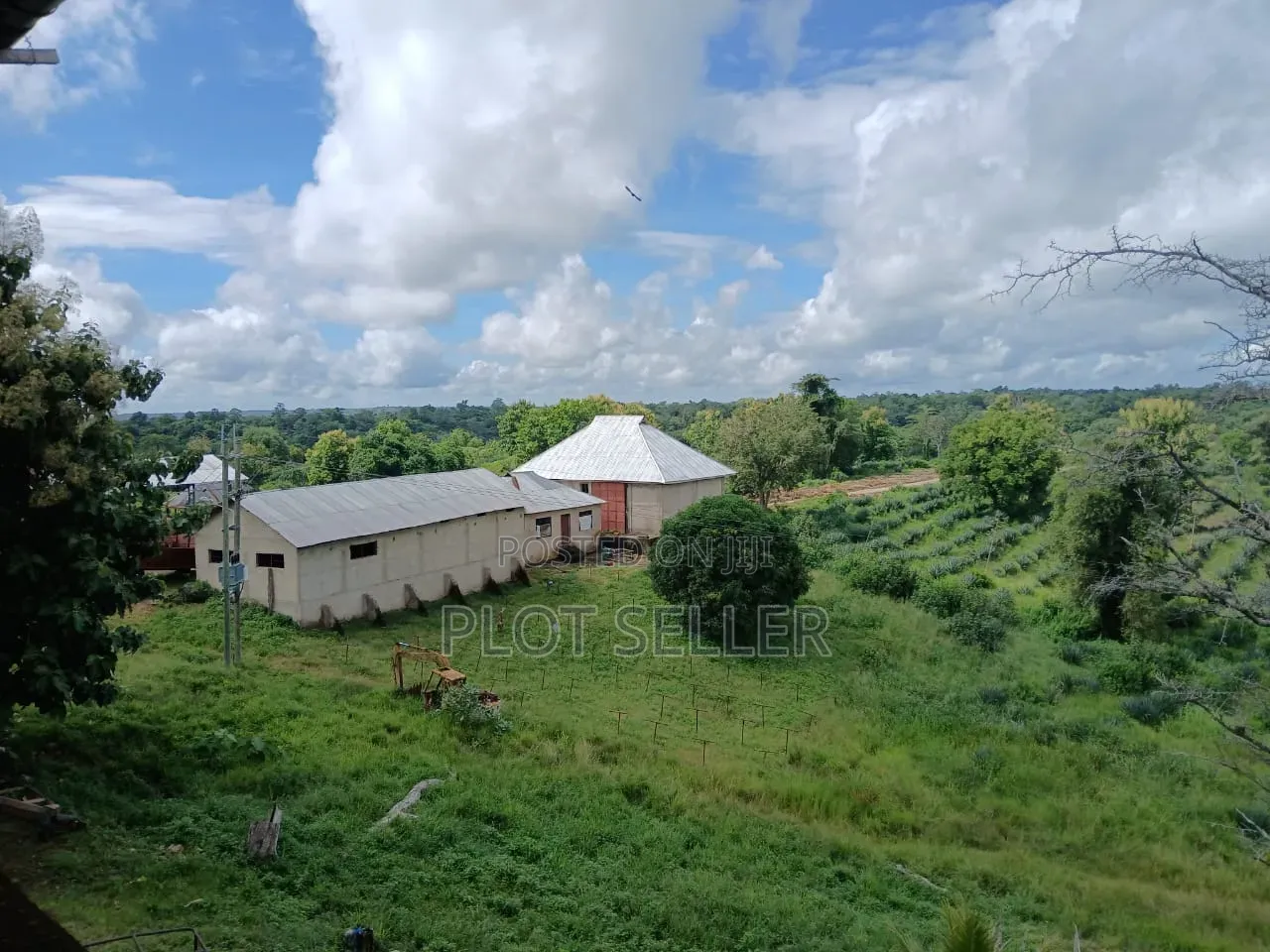 Farmland for Sale 5000 Acres in Pangani,Tanga