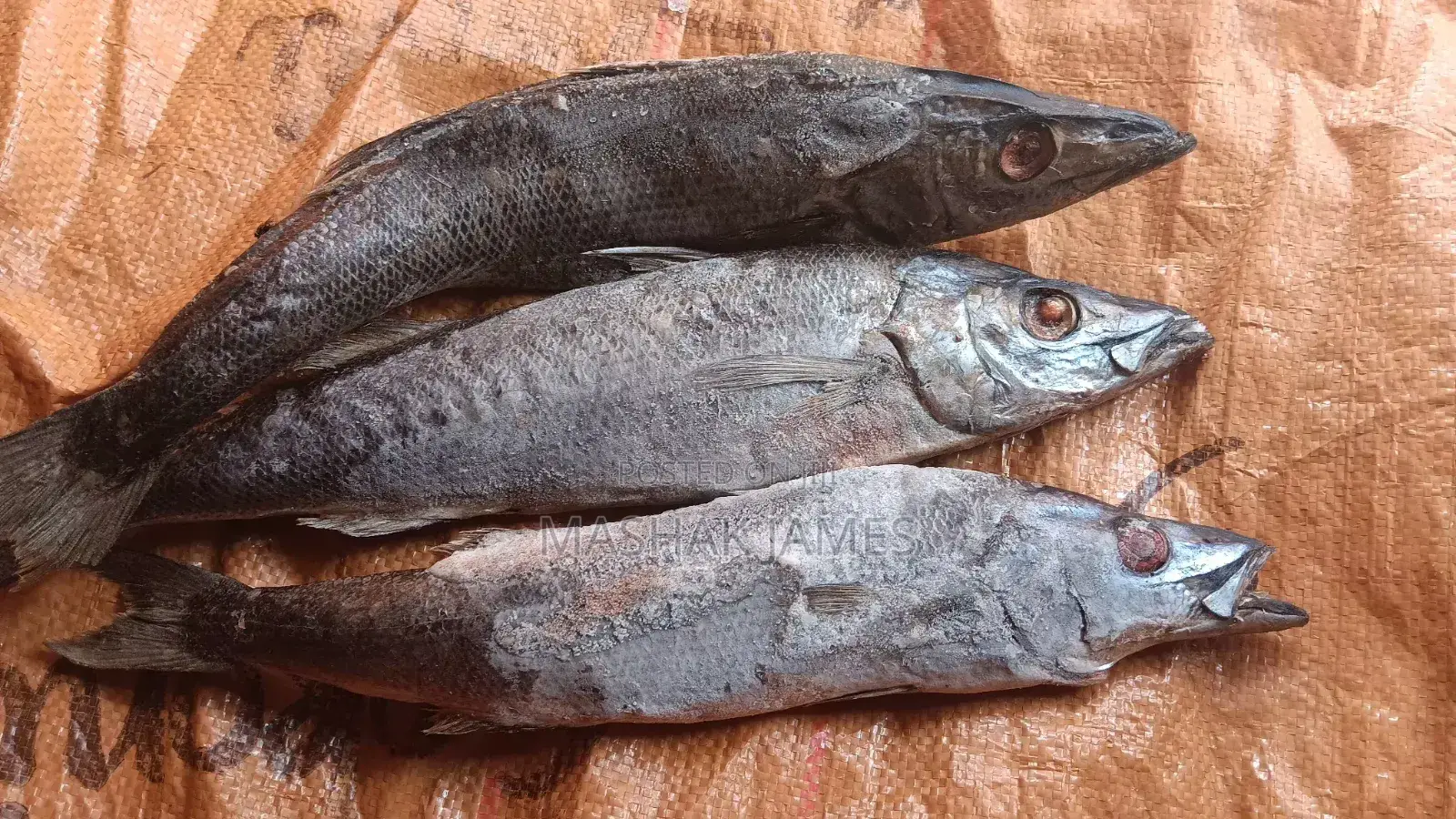 Kigoma Fresh Fish - Mgebuka & Kuhe