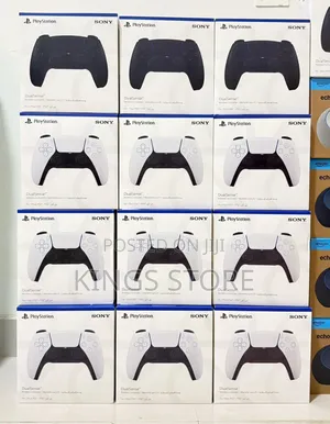 Sony Playstation 5 Controller