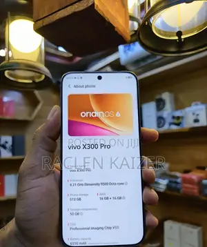 Vivo X300 Pro 512 GB White